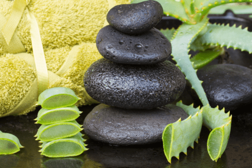 Does Aloe Vera Reduce Dark Circles, Aloe Vera for skin